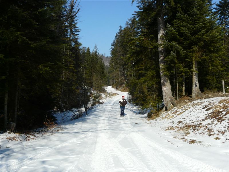 Sidzina 104